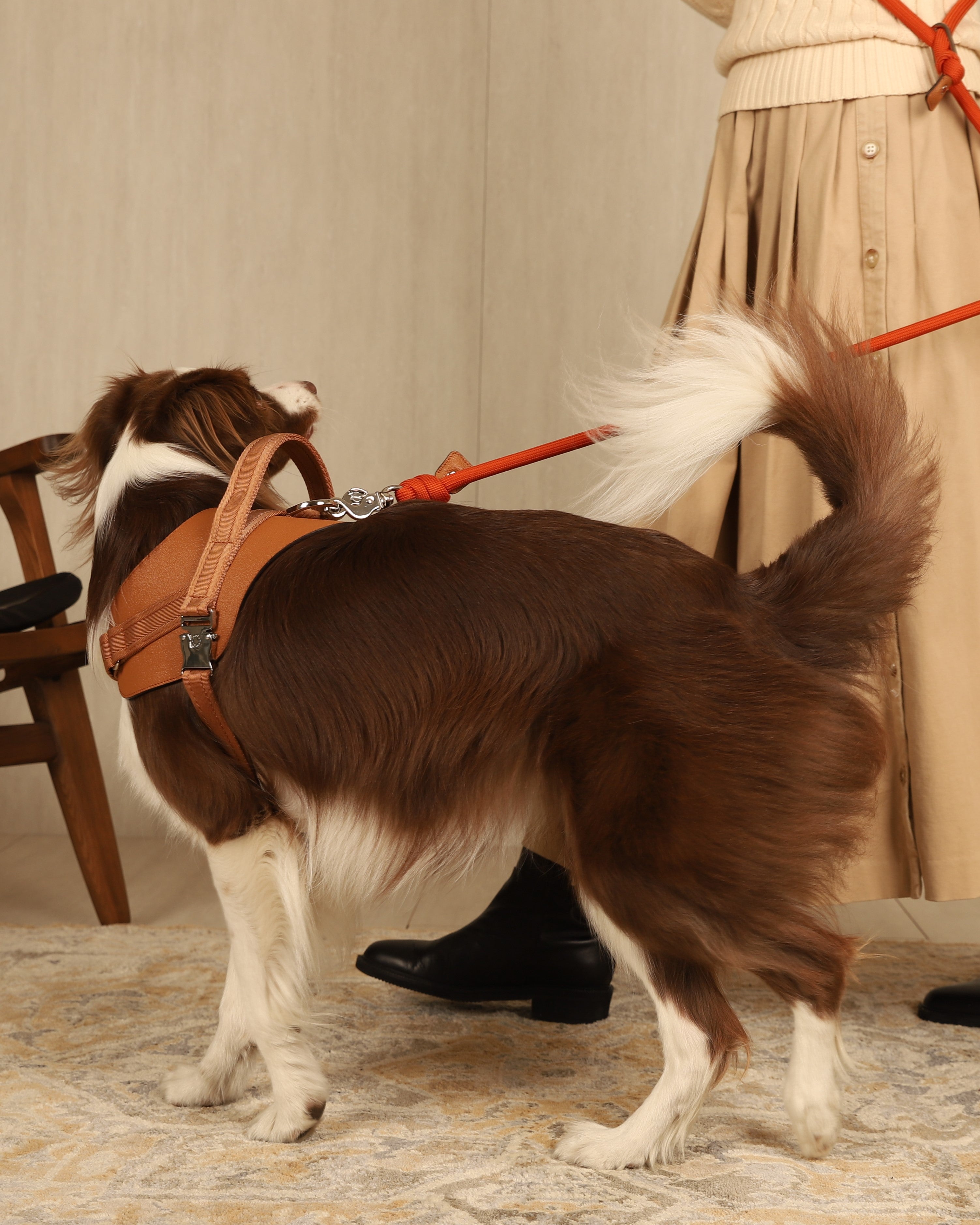 Saddle Harness CAMEL