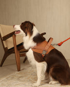 Saddle Harness CAMEL