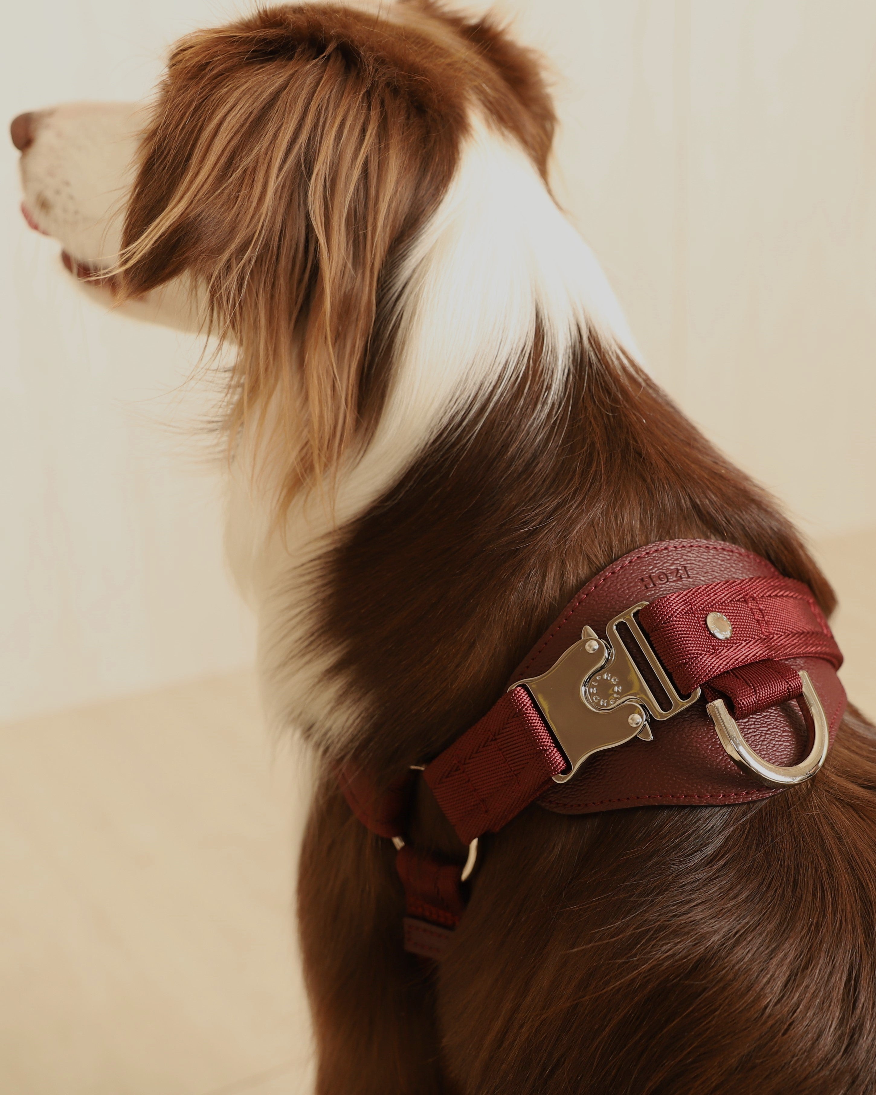 Horsebit Harness BURGUNDY