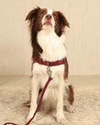 Horsebit Harness BURGUNDY