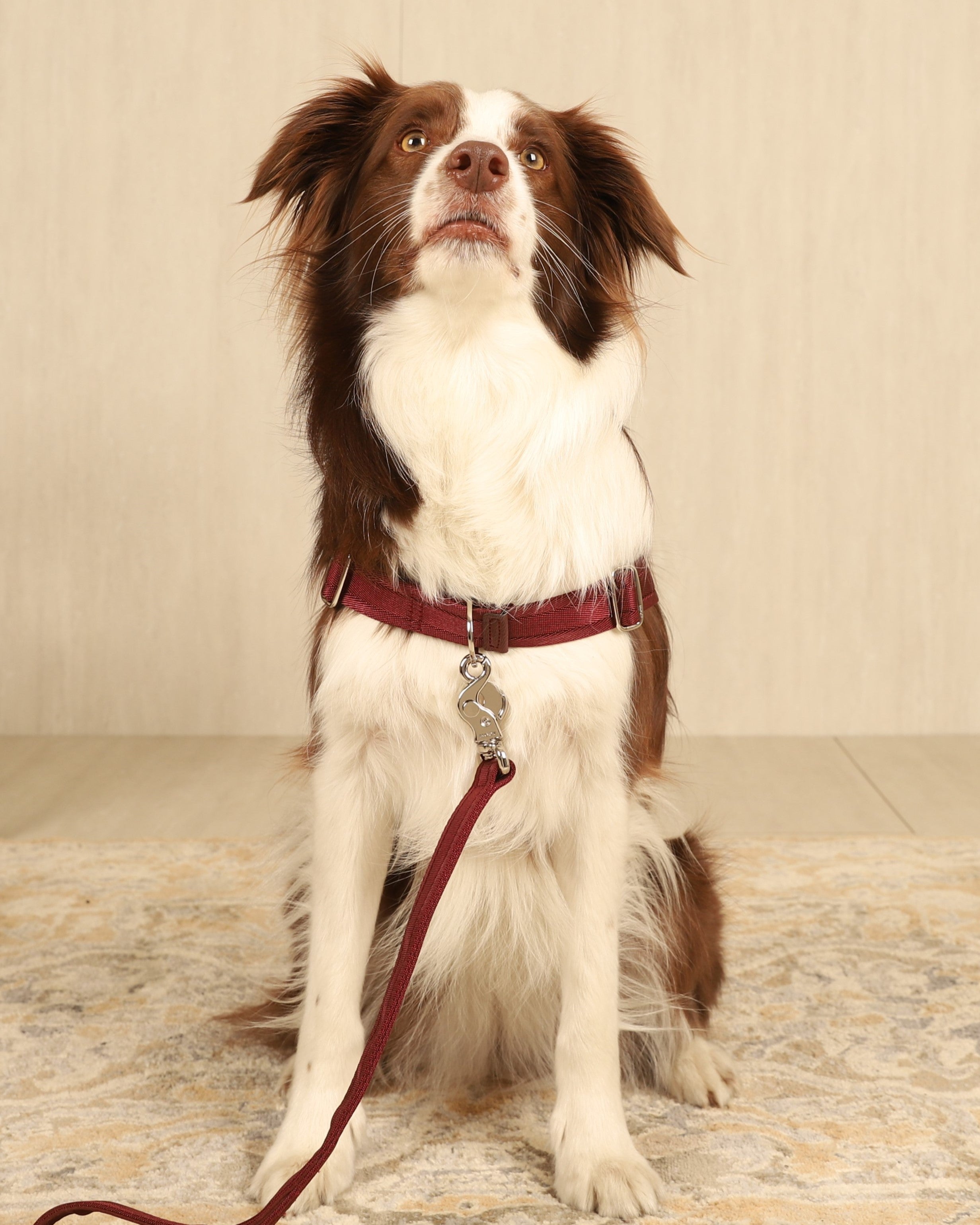 Horsebit Harness BURGUNDY