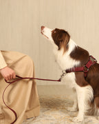 Horsebit Harness BURGUNDY