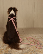 All-In-One Harness PINK