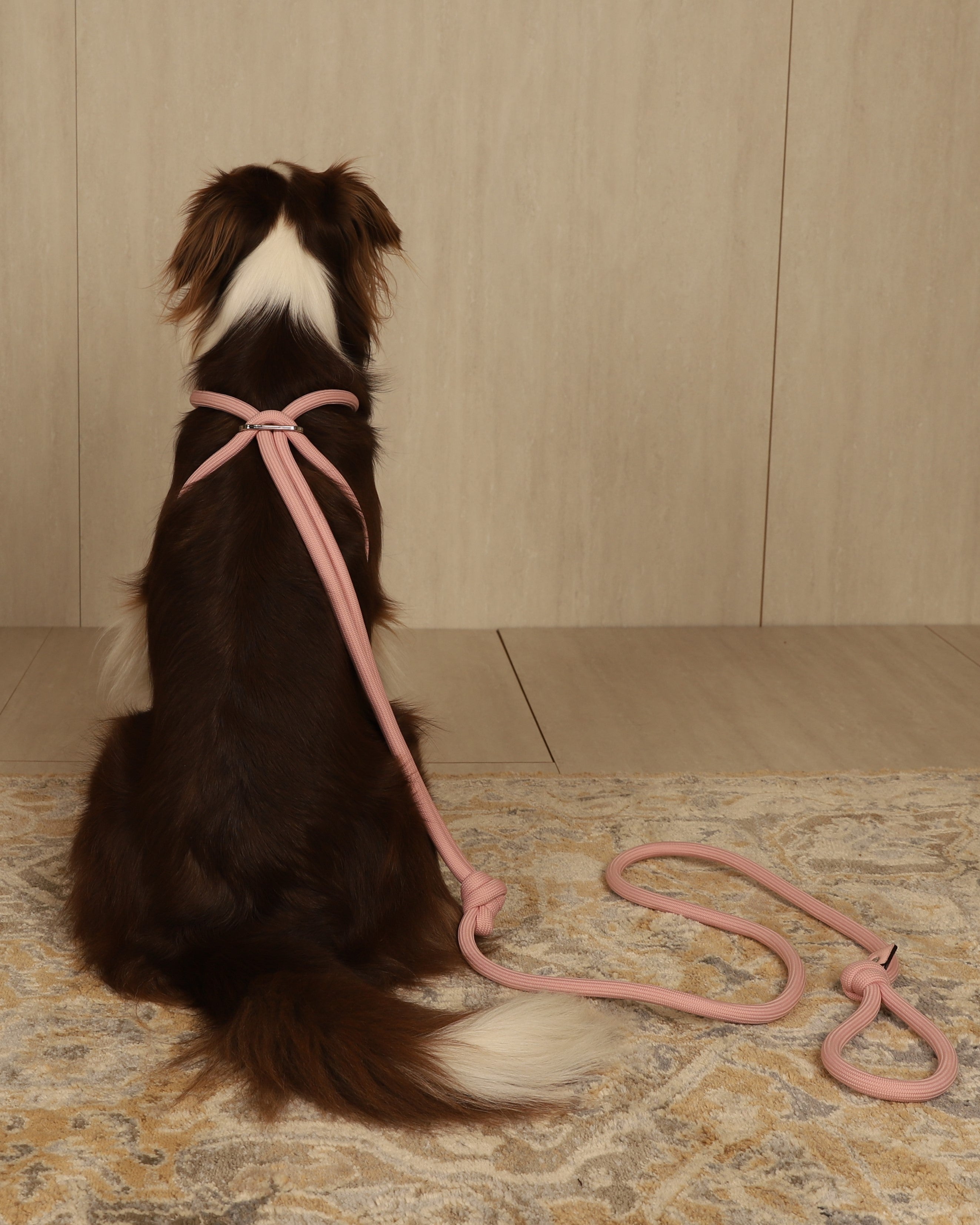 All-In-One Harness PINK