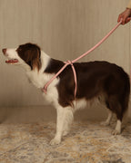 All-In-One Harness PINK