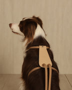 Essential Harness BEIGE