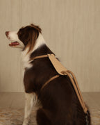 Essential Harness BEIGE