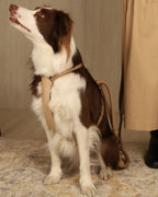 Essential Harness BEIGE