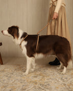 Essential Harness BEIGE