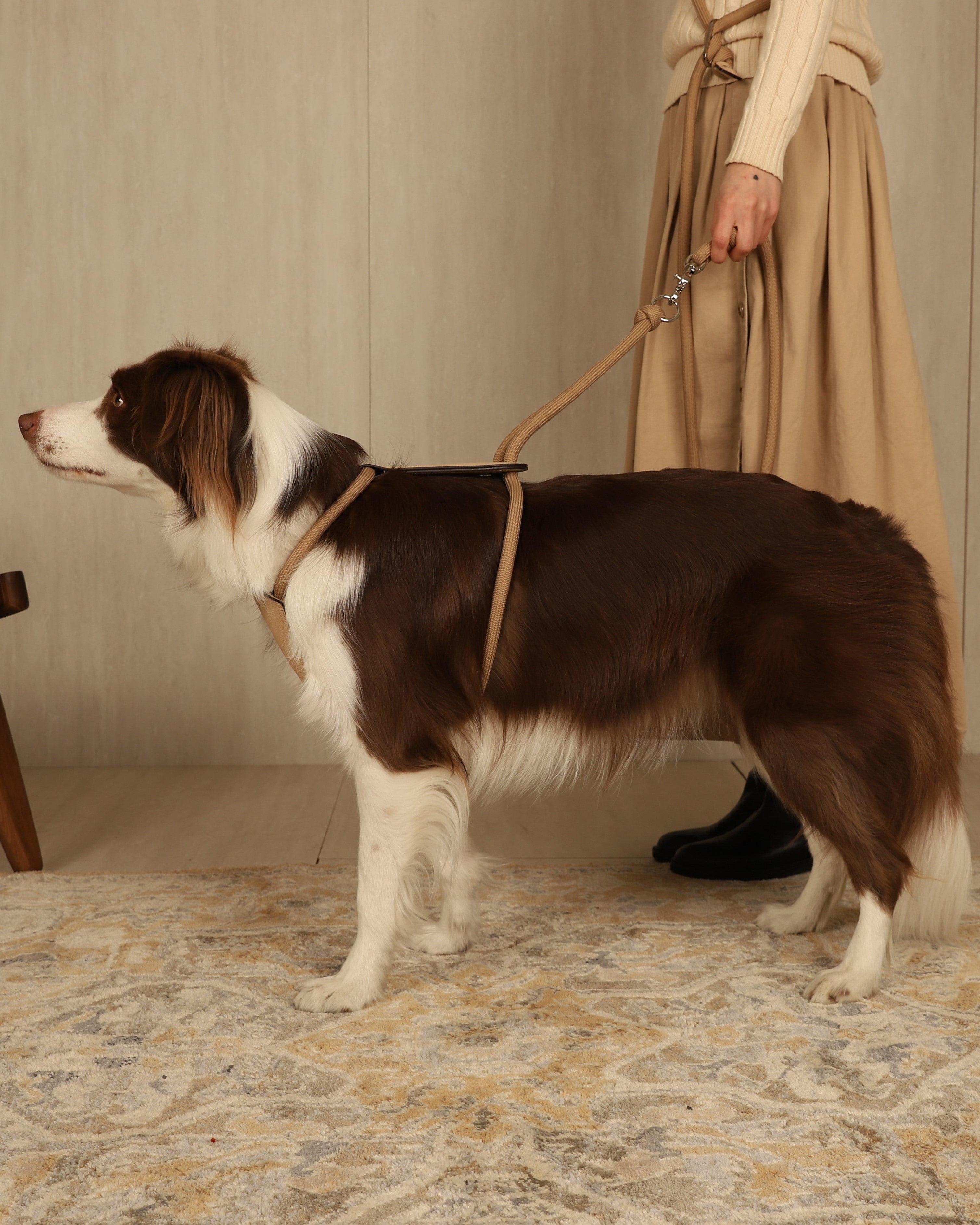 Essential Harness BEIGE