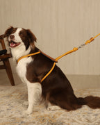 Essential Harness MUSTARD