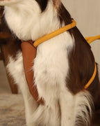 Essential Harness MUSTARD