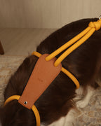 Essential Harness MUSTARD
