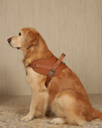 Saddle Harness CAMEL