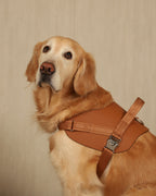 Saddle Harness CAMEL