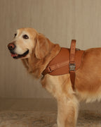Saddle Harness CAMEL