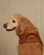 Saddle Harness CAMEL