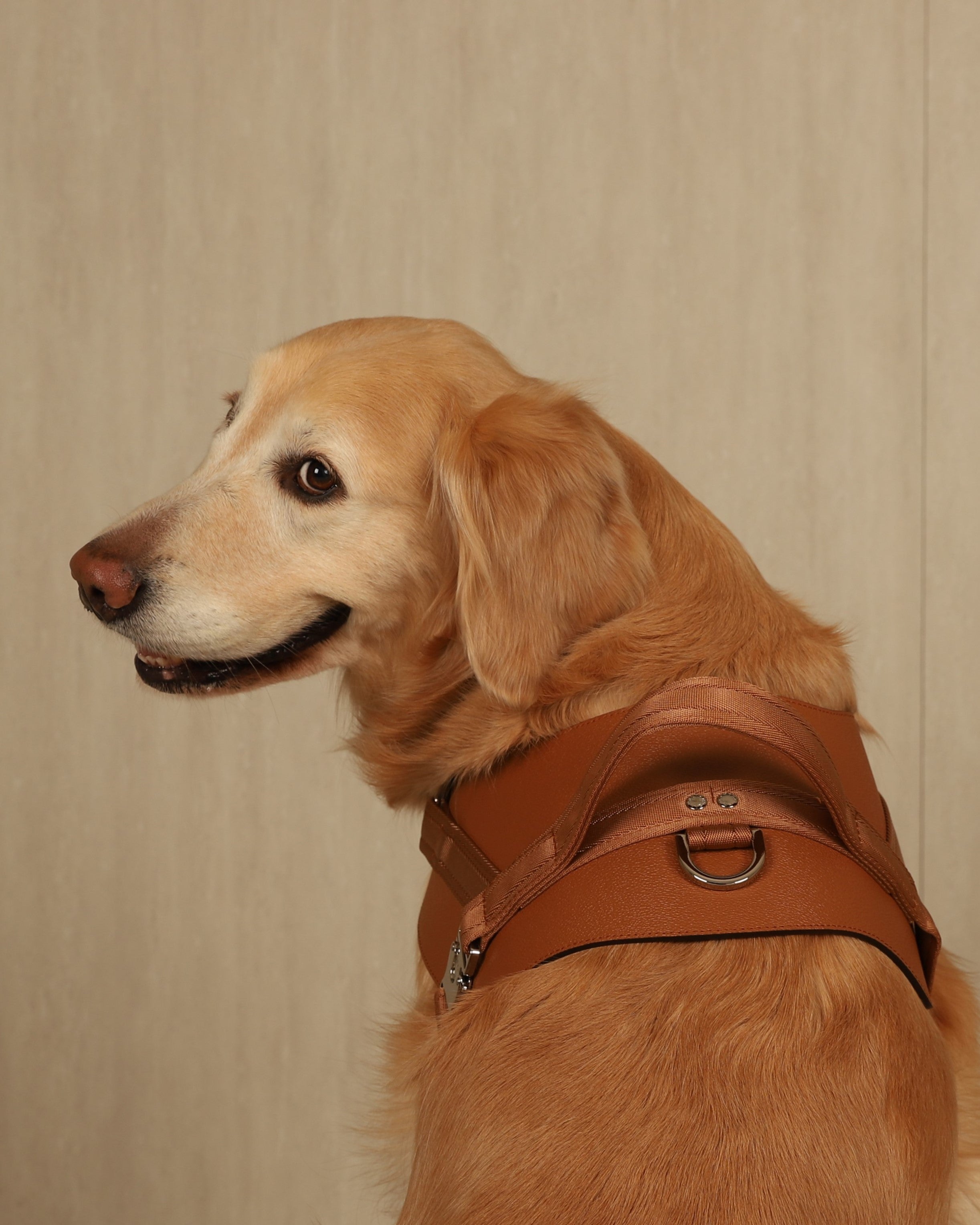Saddle Harness CAMEL