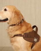 Saddle Harness MOCHA