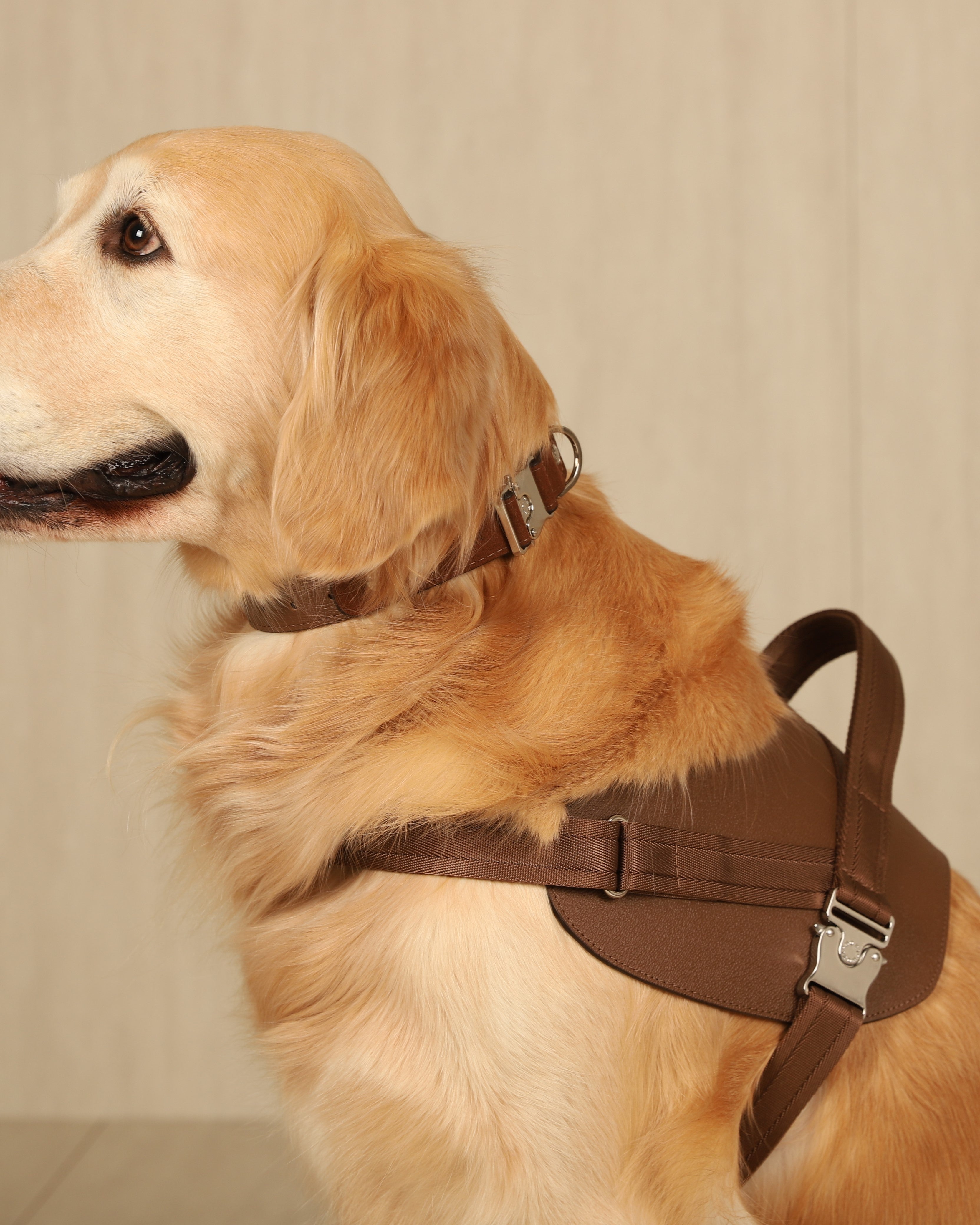Saddle Harness MOCHA