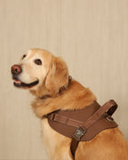 Saddle Harness MOCHA