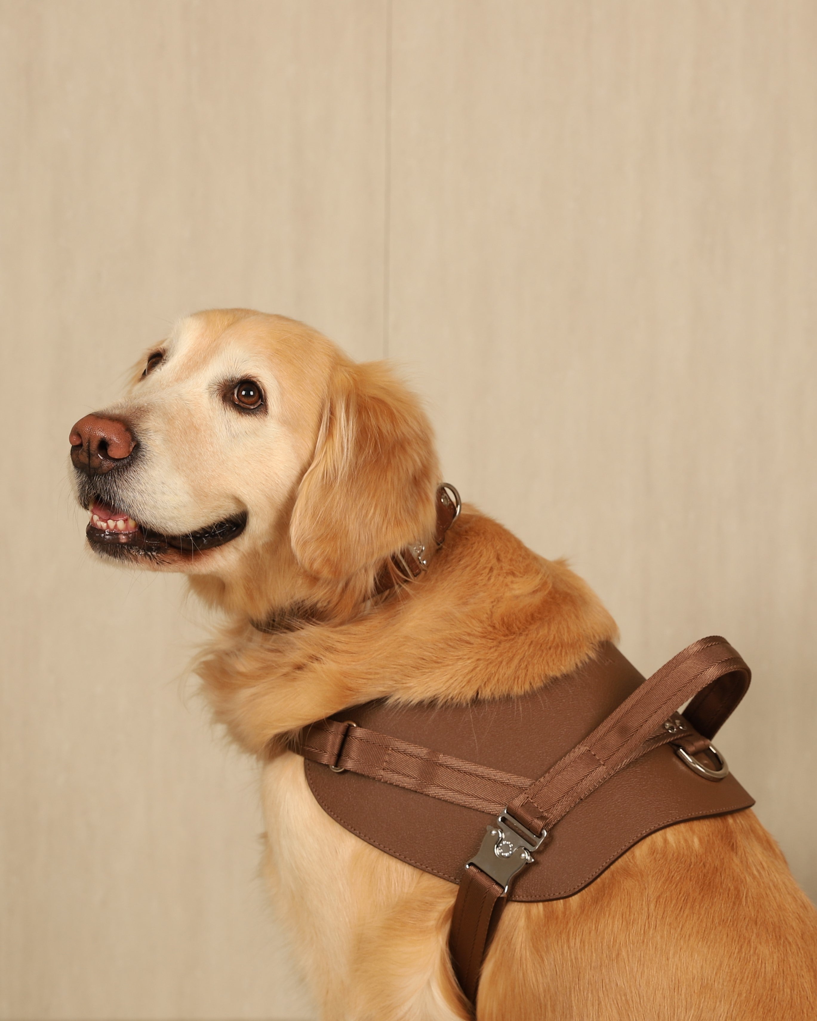 Saddle Harness MOCHA