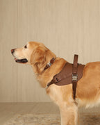 Saddle Harness MOCHA