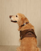 Saddle Harness MOCHA