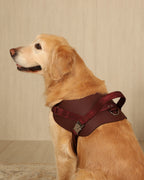 Saddle Harness BURGUNDY
