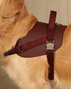 Saddle Harness BURGUNDY