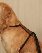 Essential Harness DEEP GREEN