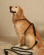 Essential Harness DEEP GREEN
