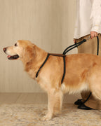 Essential Harness DEEP GREEN