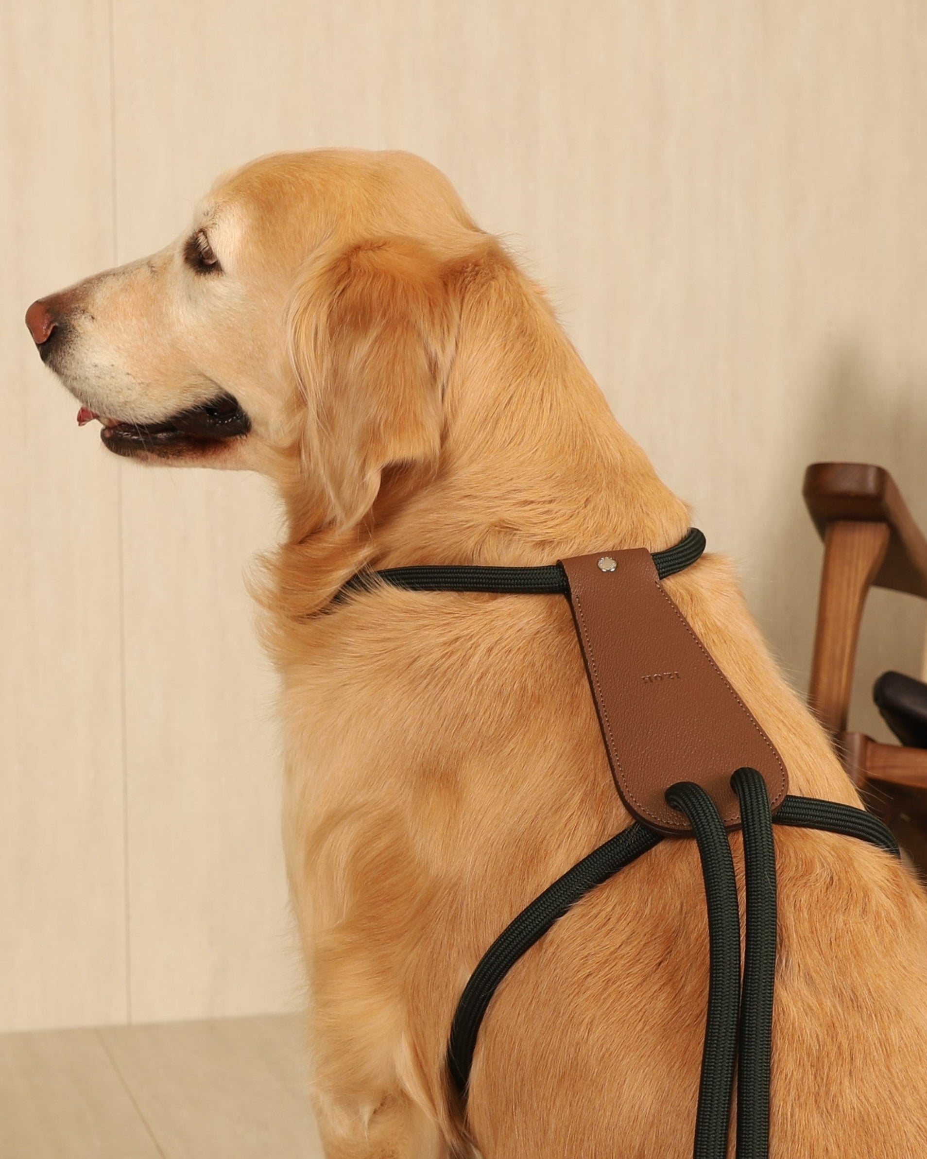 Essential Harness DEEP GREEN