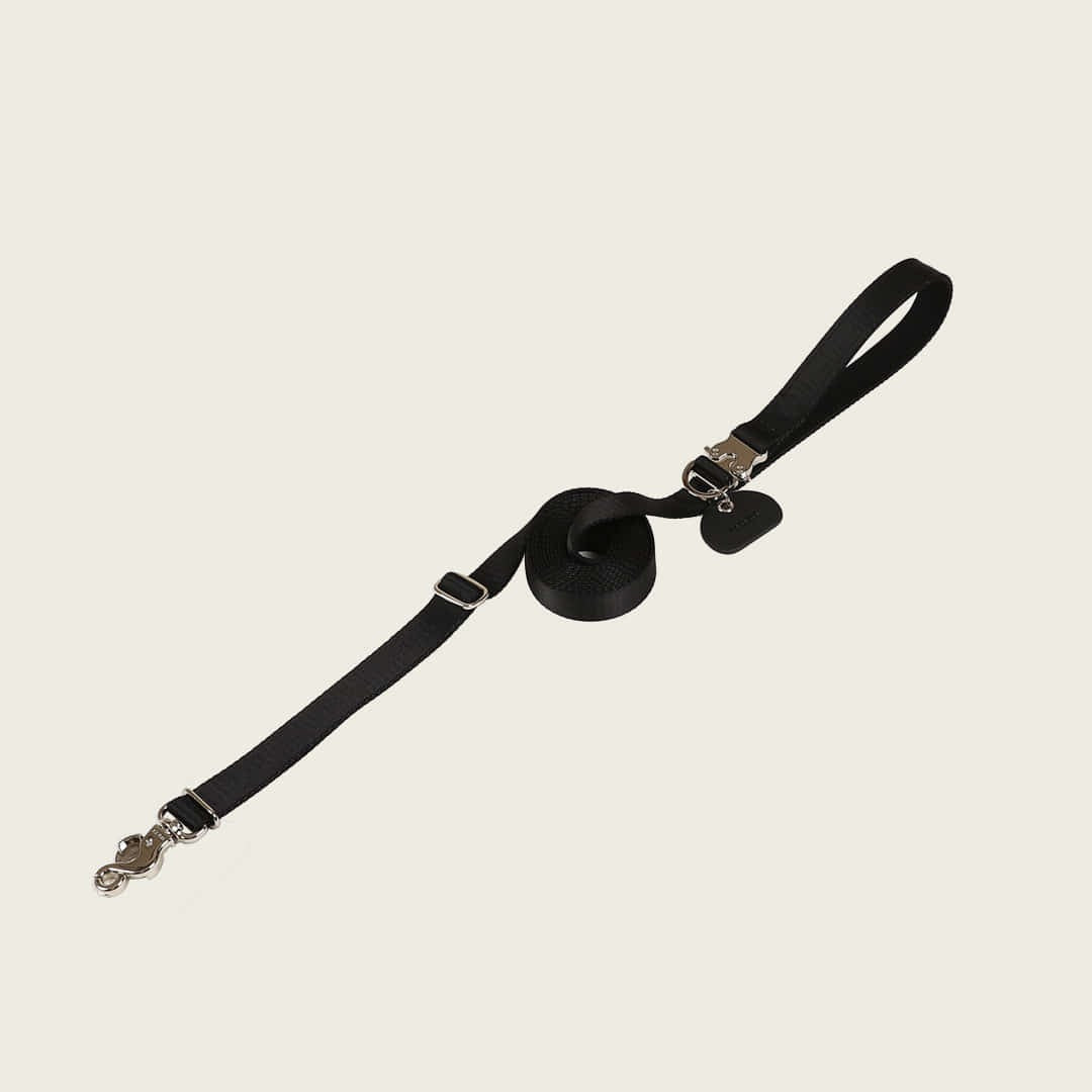 Saddle Hands-Free Lead_BLACK S