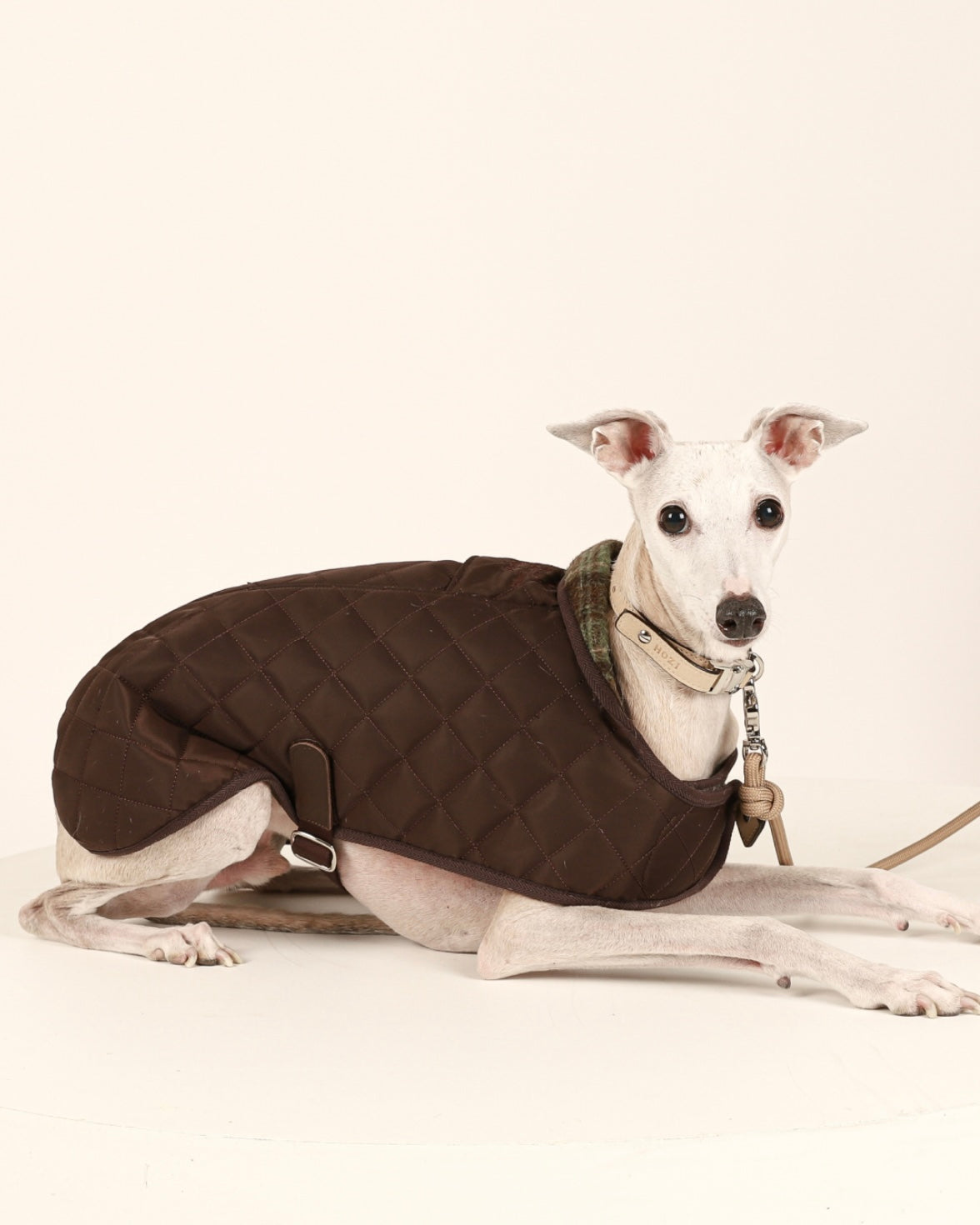 Quilted Jacket_BROWN