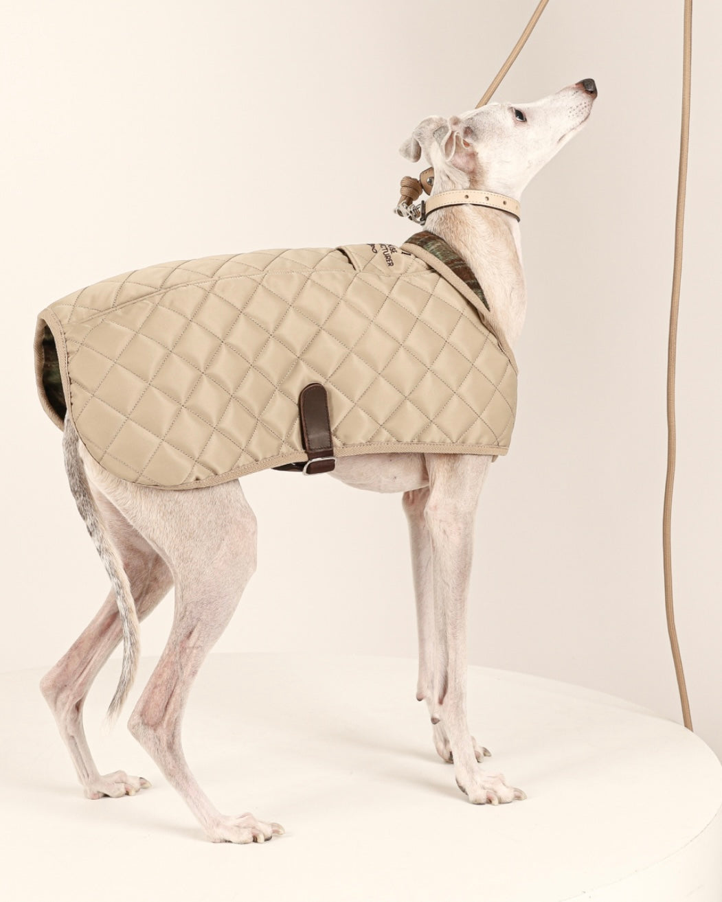 Quilted Jacket_BEIGE