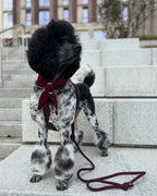 Doggy Scarf BURGUNDY