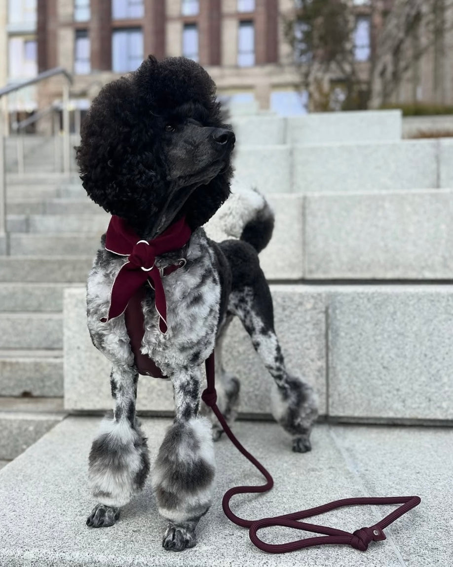 Doggy Scarf_BURGUNDY