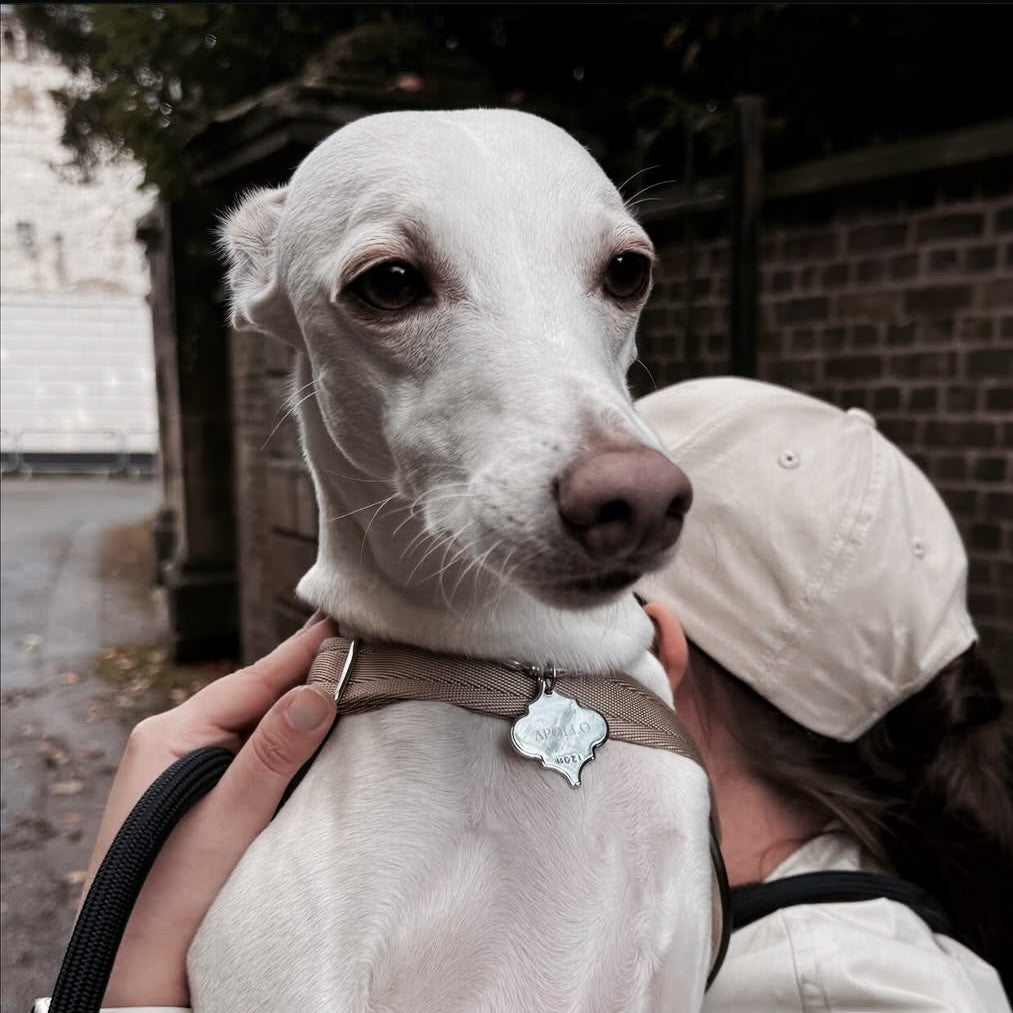 Alabesque ID Necklace