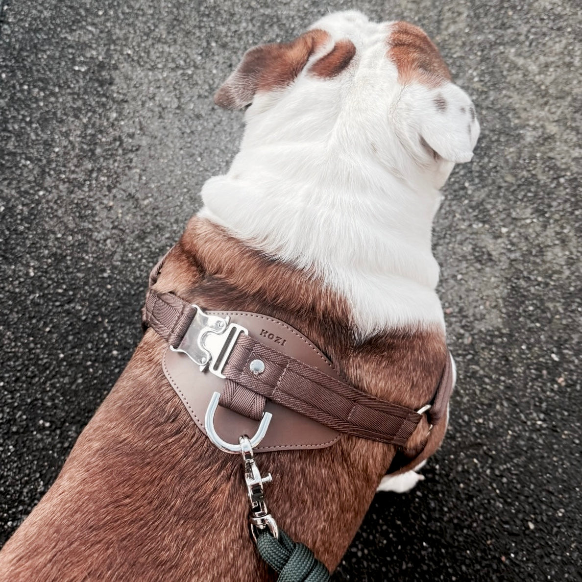 Horsebit Harness_MOCHA