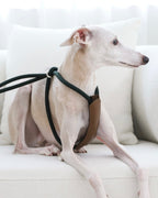 All-In-One Harness DEEP GREEN