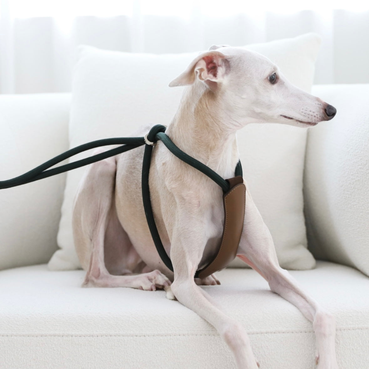 All-In-One Harness_DEEP GREEN