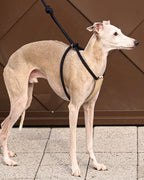 All-In-One Harness NAVY
