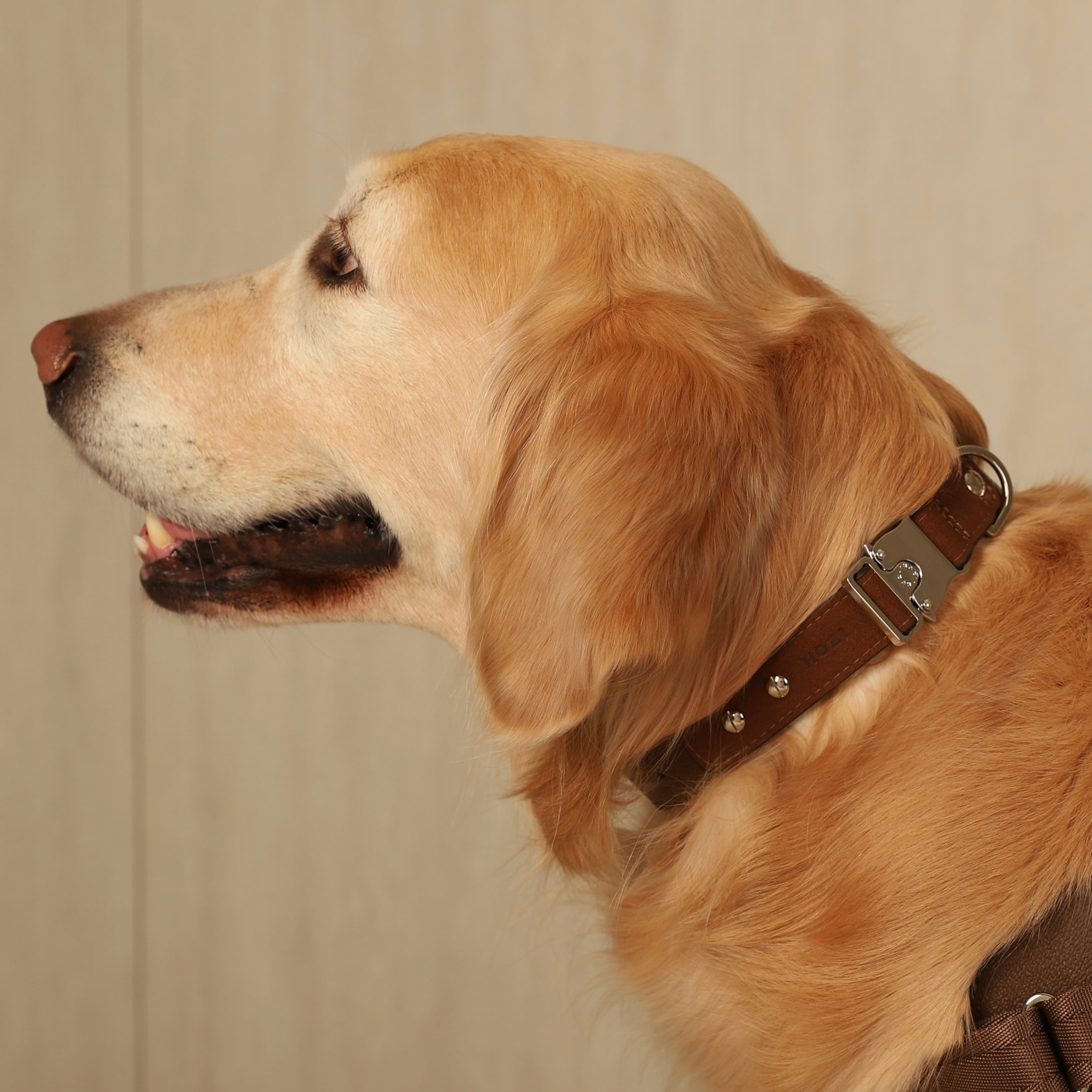 Saddle Strap_MOCHA