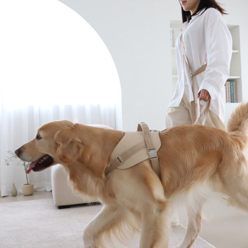 Saddle Hands-Free Lead_BEIGE L