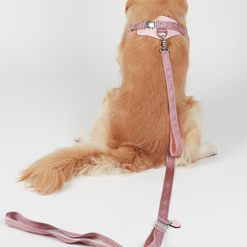 Saddle Hands-Free Lead_PINK L