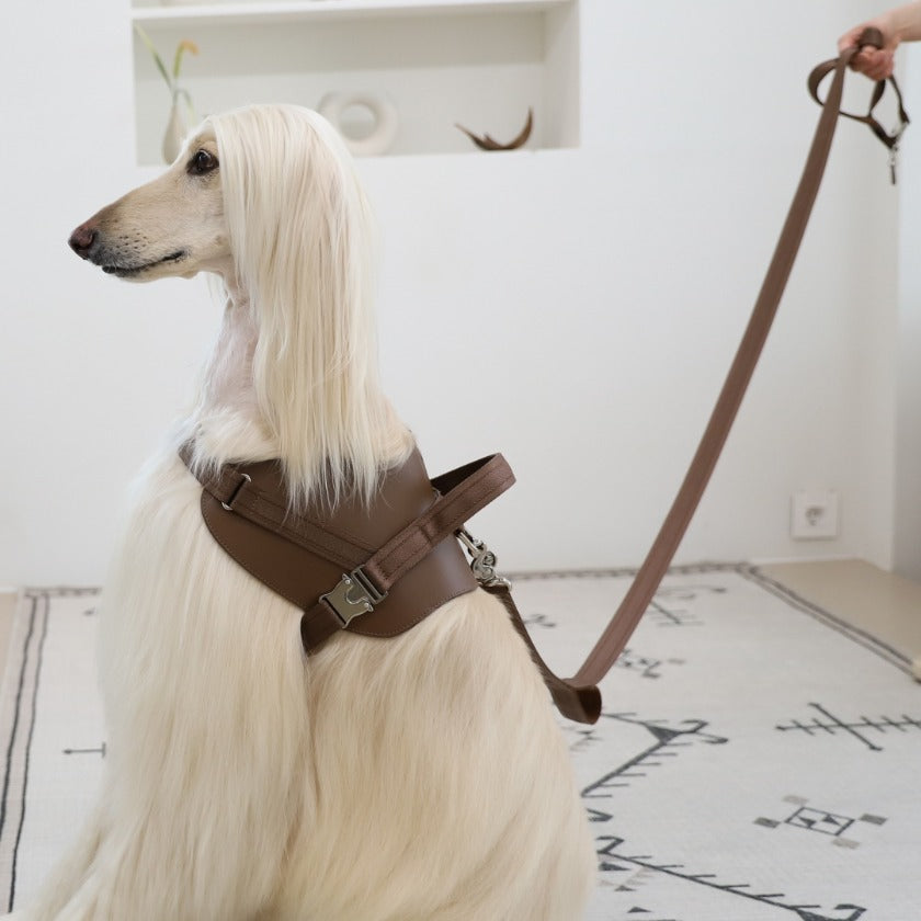 Saddle Hands-Free Lead_MOCHA L