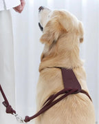Essential Harness BURGUNDY
