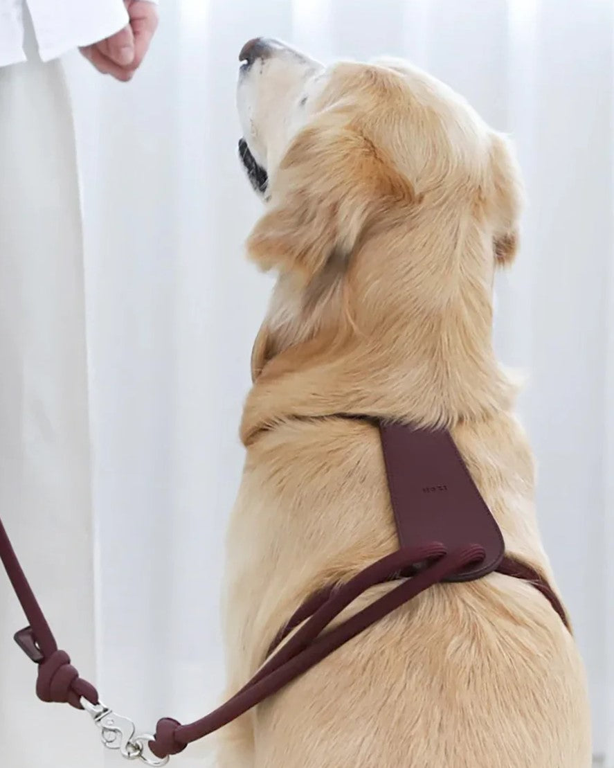 Essential Harness BURGUNDY